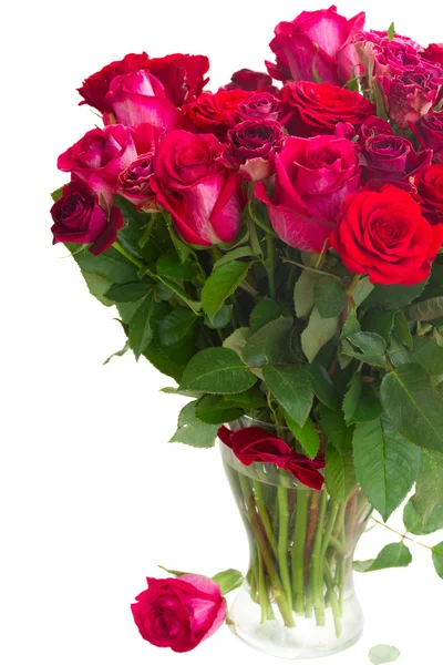 Rand aus roten und rosa Rosen — Stockfoto