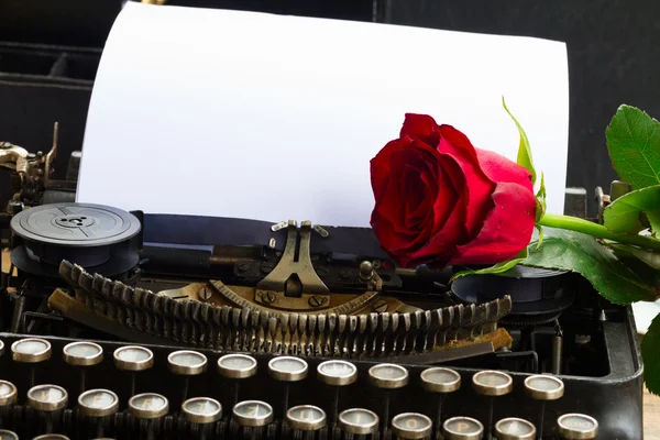 Rosa roja en la máquina de escribir — Foto de Stock