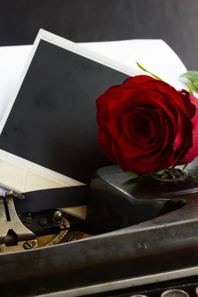 Rosa roja en la máquina de escribir —  Fotos de Stock