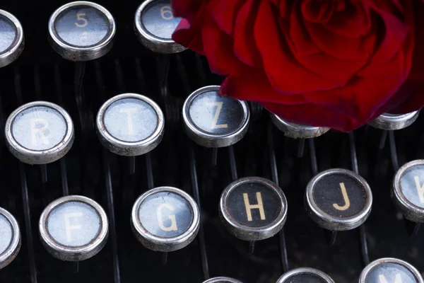 Red rose on typewriter — Stock Photo, Image