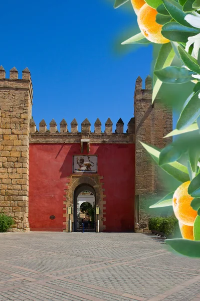 Porten till real alcazar, sevilla, Spanien — Stockfoto