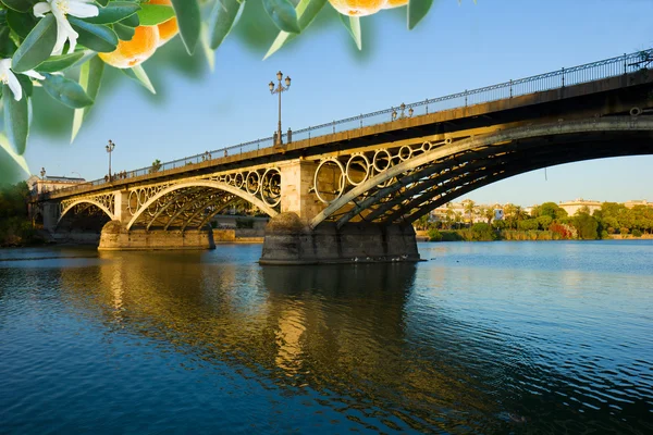 Triana brug, Sevilla, Spanje — Stockfoto