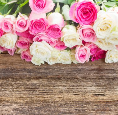 Pembe ve beyaz güller