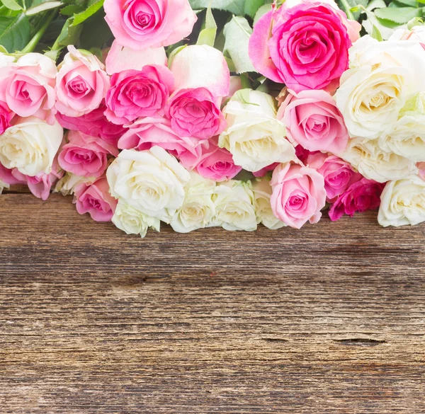 Rosa und weiße Rosen — Stockfoto