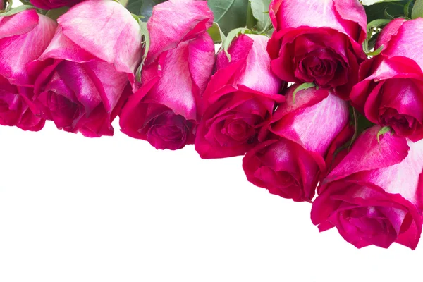 Кучка розовых роз — стоковое фото