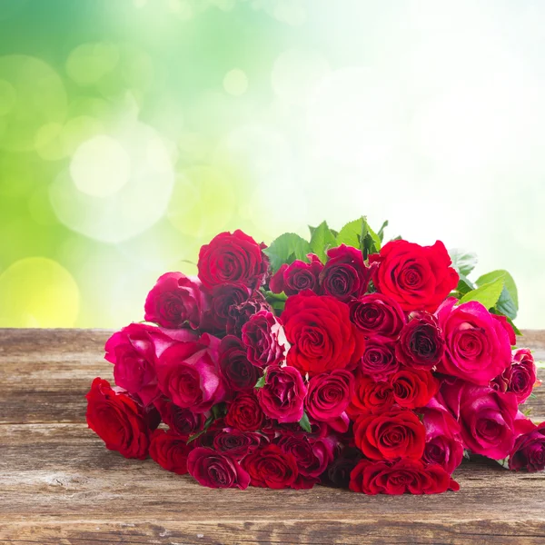Frische rote Rosen — Stockfoto