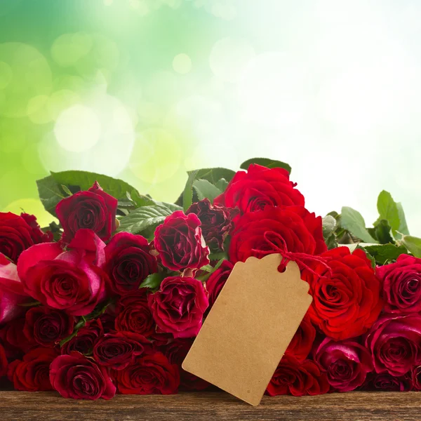 Ferske røde roser – stockfoto