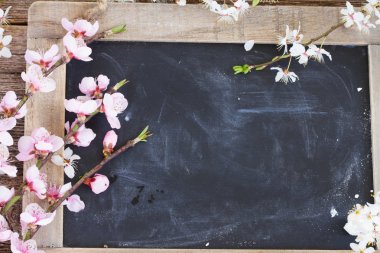 dallar kiraz çiçekleri ile