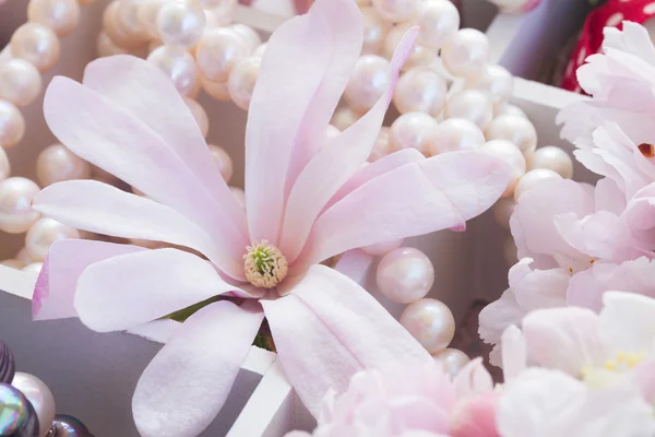 Квіти дерева з перлами і мереживом — стокове фото