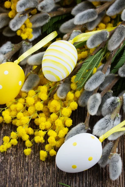 Francuska mimoza i kocice z jajami wielkanocnymi — Zdjęcie stockowe