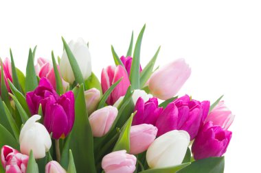 buket pembe, mor ve beyaz laleler