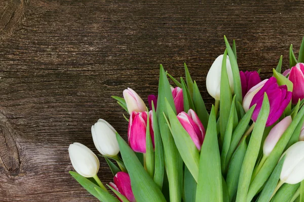 Ramo de tulipanes rosados, morados y blancos — Foto de Stock