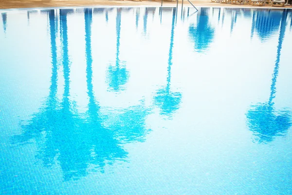 Pool mit Reflexionen von Palmen — Stockfoto