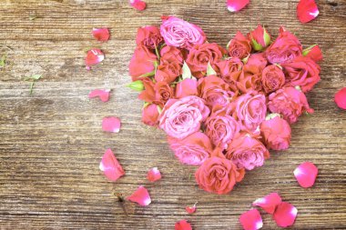 leylak rengi gül yığını