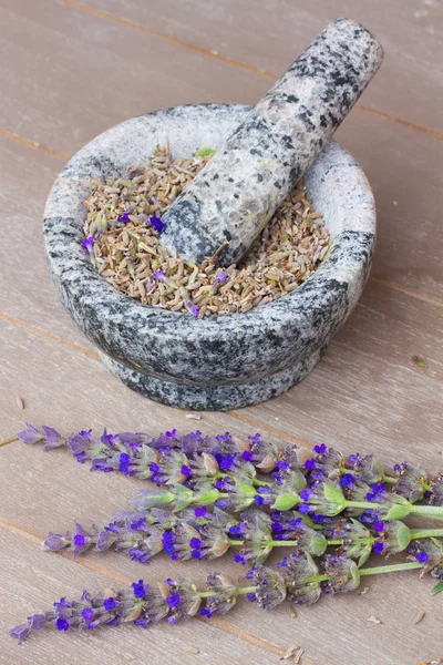 Lavender flowers spa — Stock Photo, Image