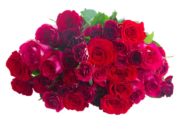 Border of red and pink roses — Stock Photo, Image