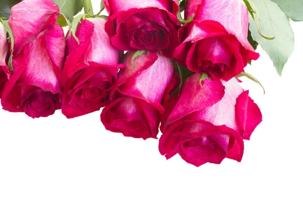 Stapel roze rozen — Stockfoto