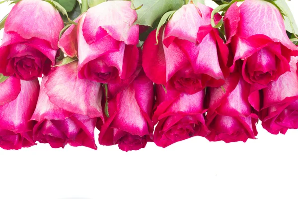 Pile of pink  roses — Stock Photo, Image