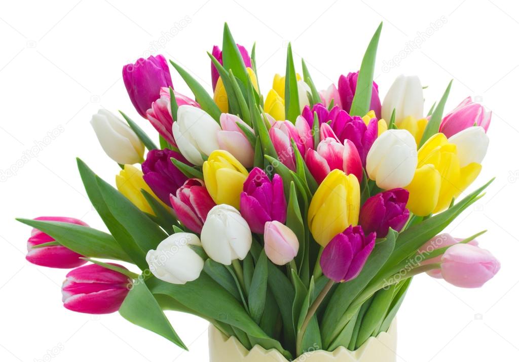 bouquet of  pink, purple and white  tulips