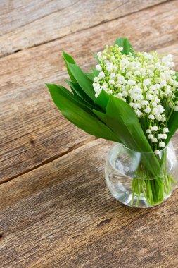 Lilly vadinin ahşap üzerine