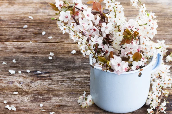 Ramoscelli con fiori di ciliegio — Foto Stock