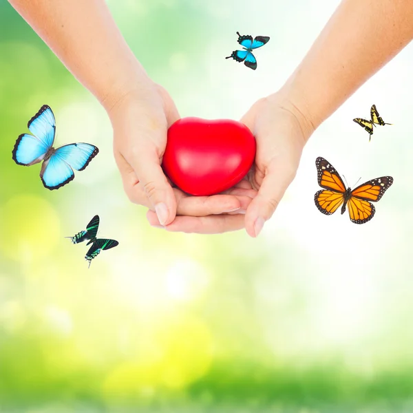 Hands holding red heart — Stock Photo, Image