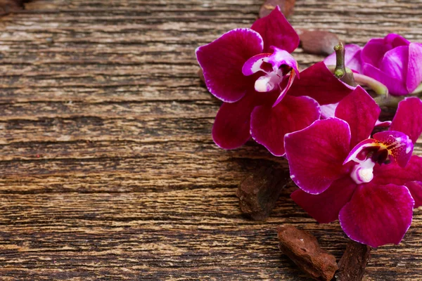 Mazzo di orchidee viola — Foto Stock
