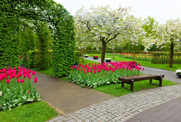 Keukenhof garden, Nederländerna — Stockfoto