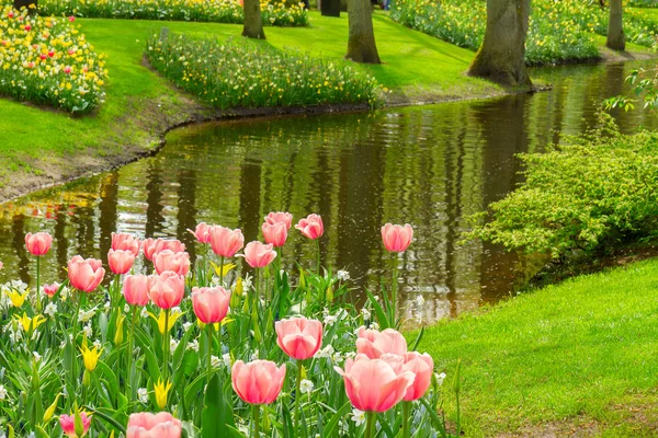 Spring garden Keukenhof, Países Bajos — Foto de Stock