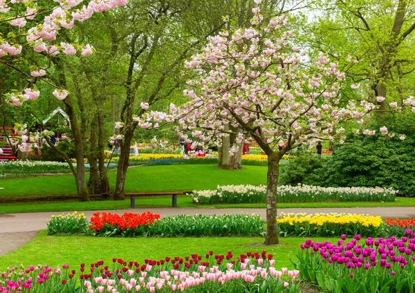 Flores de primavera en Holland park —  Fotos de Stock