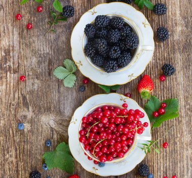 taze kırmızı kuş üzümü berry ve blackberry