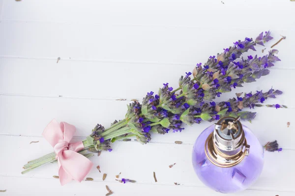 Lavender flowers spa — Stock Photo, Image