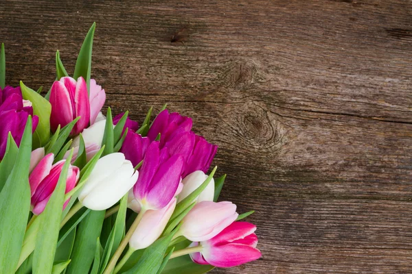 Bukett med rosa, lila och vita tulpaner — Stockfoto