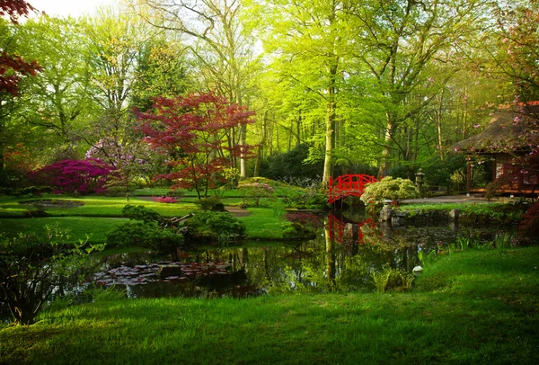 Japansk trädgård på våren — Stockfoto