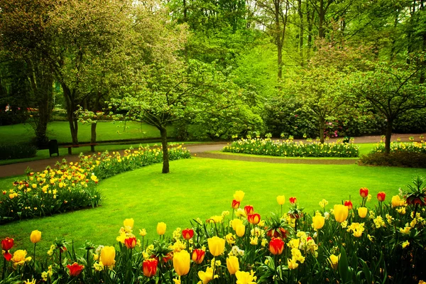 Bahar Çiçek Bahçe — Stok fotoğraf