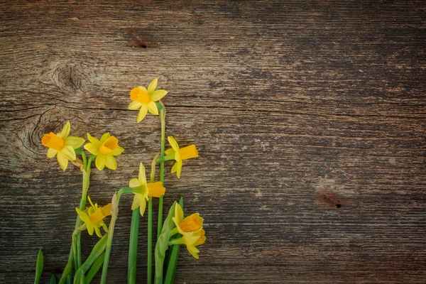 Daffodils on wooden background — Stock Photo, Image