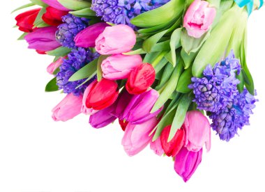 Mavi sümbül ve lalelerden bir buket