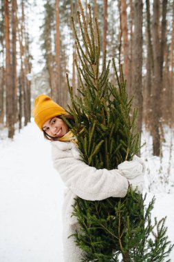 Smiling young woman hugging fir tree from behind in a snowy winter forest clipart