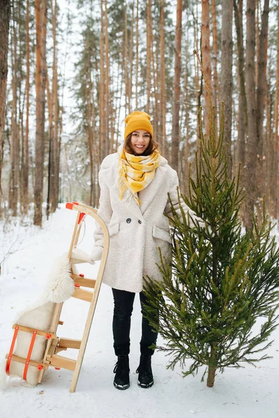 Портрет молодої жінки, що тримає дерев'яні санчата і ялинку в зимовому лісі — стокове фото