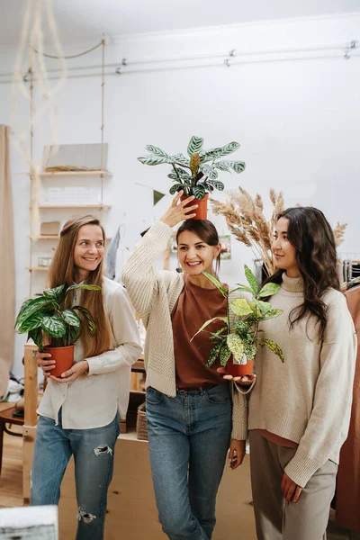 生态商店里快乐的三个女人手里拿着盆栽摆姿势 — 图库照片