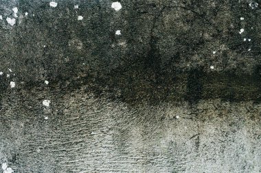 Beton duvar, üzerinde beyaz yosun çemberleri büyüyen hava şartları ile karardı..