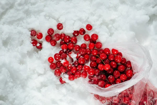 Spilled frozen cherries in a plastic bag on a grinded ice. top view. Stock Picture