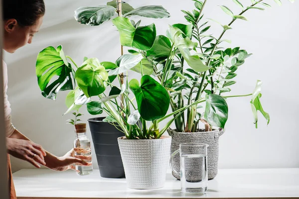 Gentle woman adding seedling to her mini garden with big potted plants — Stock Photo, Image