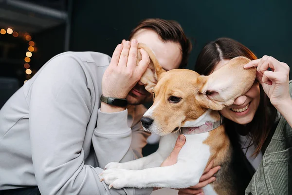 Coppia Divertente Loro Cane Preferito Posa Una Foto Stanno Coprendo — Foto Stock