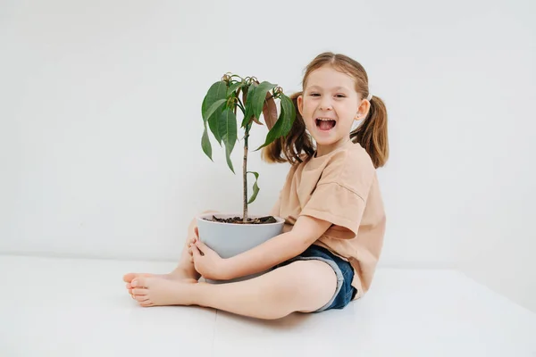 Веселая маленькая девочка обнимает растение в большой кастрюле с руками и ногами — стоковое фото