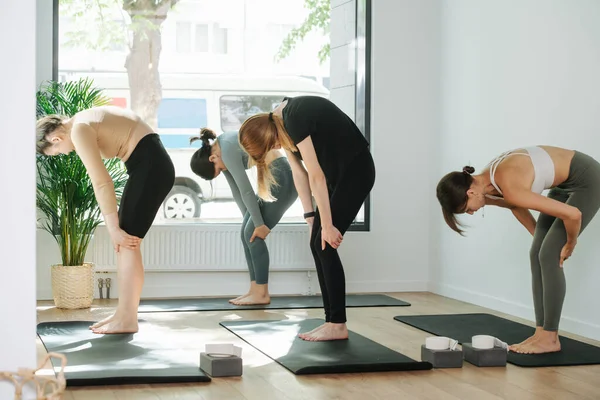 Kadın grubu bir eğitmenin yanında yoga yapıyor, sırtını eğiyor.