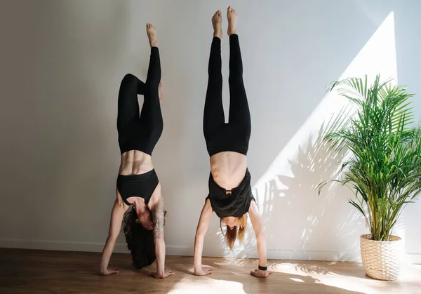 Duas Mulheres Bem Equilibradas Fazendo Apoio Mão Sem Assistência Lado — Fotografia de Stock