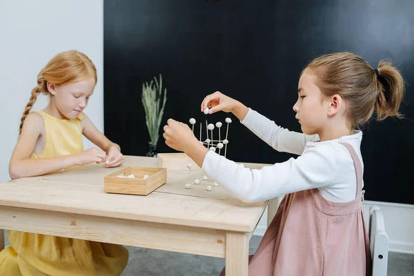 Las niñas sumergidas están ocupadas construyendo formas 3d de plastilina y palillos de dientes —  Fotos de Stock