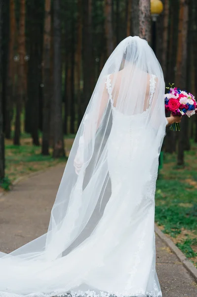 Día de la boda. Novia. — Foto de Stock