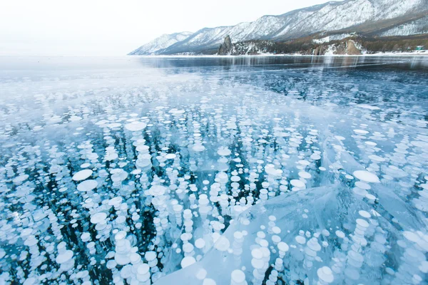 Burbujas de gas metano congeladas en hielo transparente Fotos de stock